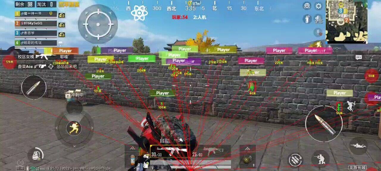 和平精英辅助【哪吒容器直装】全图透视 观战透视 增加爆率 锁死自瞄 掩体漏打 物资显示